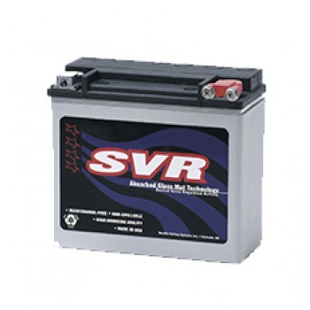 12V SVR Batteries